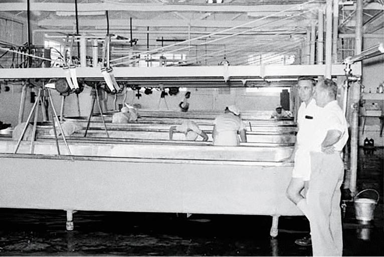 Kenilworth cheese factory